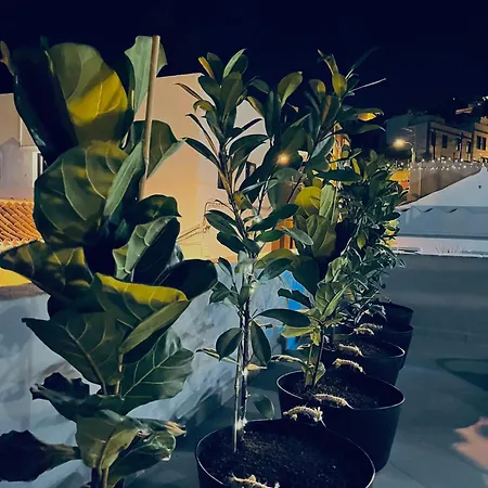 Apartment Plaza De La Fuente Tenerife Sur Only Adults Con Terraza Privada Granadilla De Abona